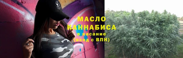 гашик Инта