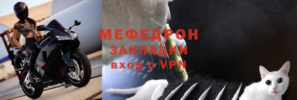 гашик Инта