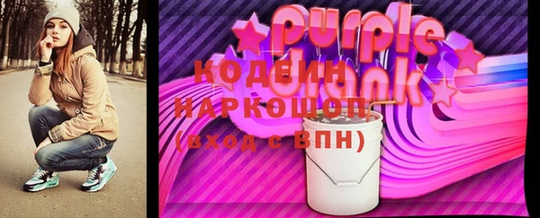 гашик Снежногорск