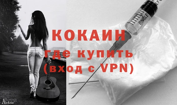гашик Снежногорск