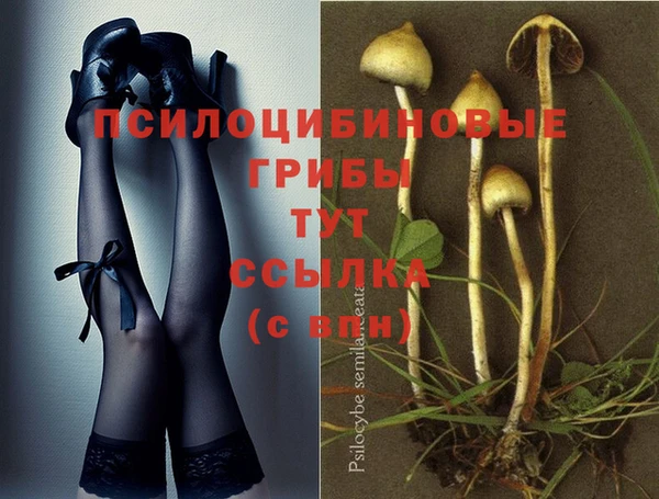 трава Слюдянка